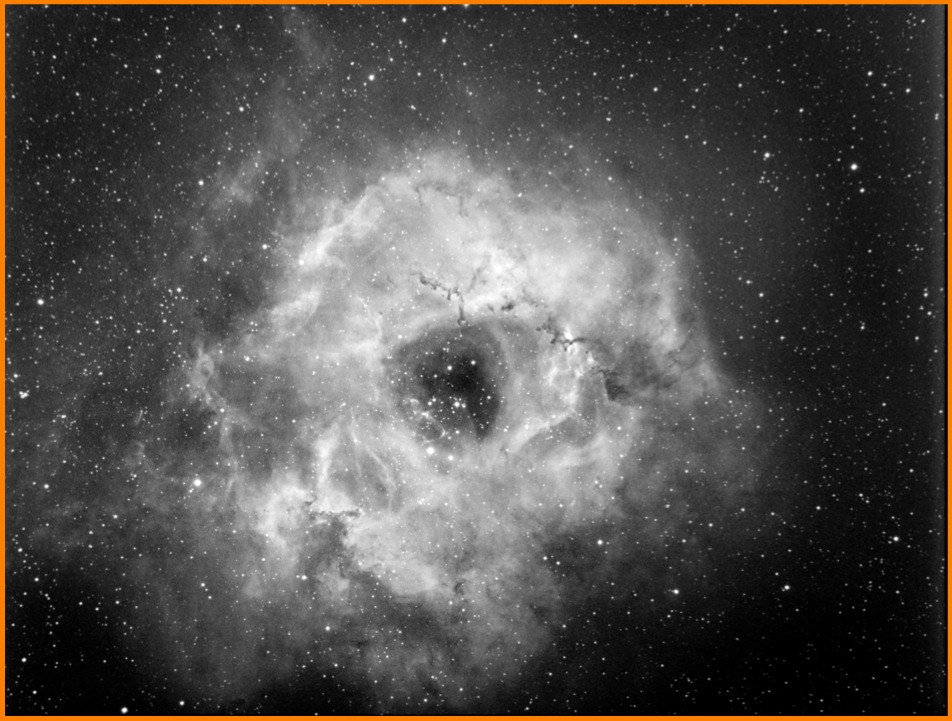 astroart rose