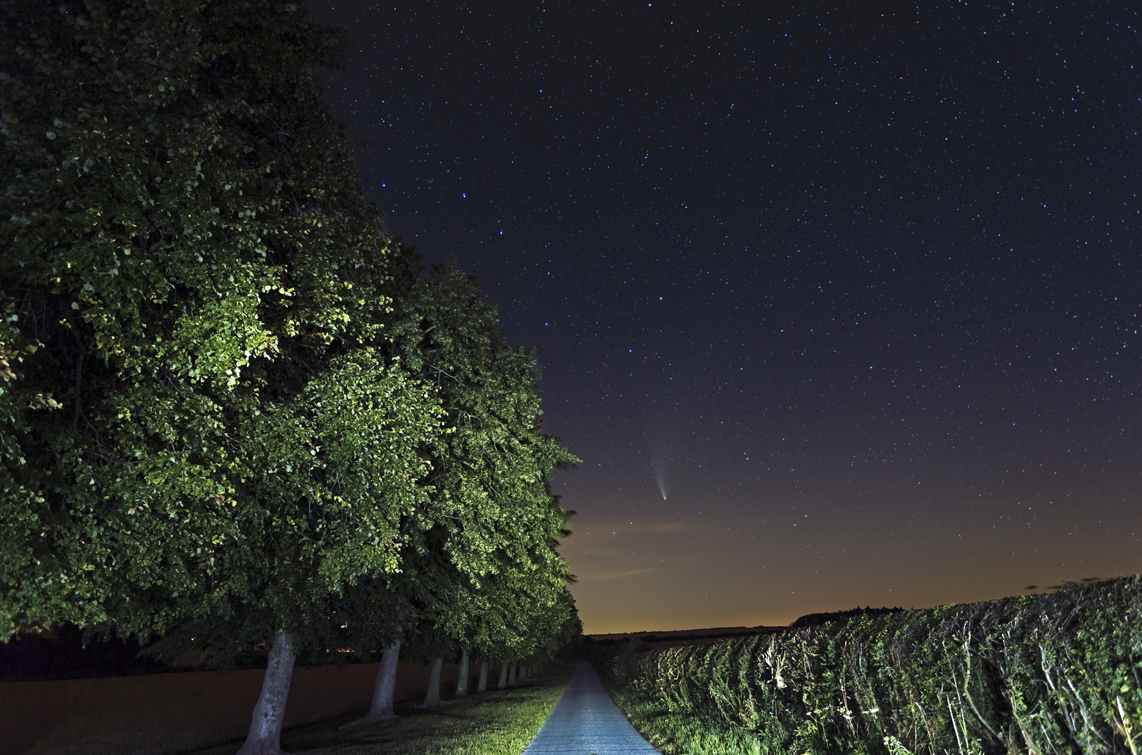 Comet Neowise end of the Avenue