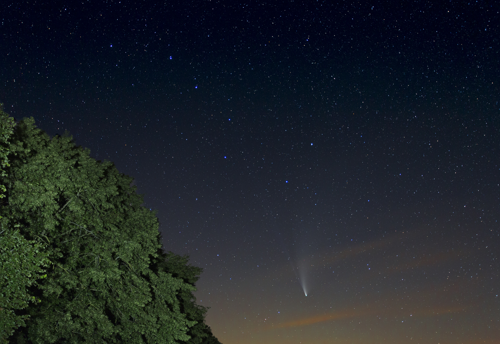 Ursa Major ( the plough ) & comet Neowise